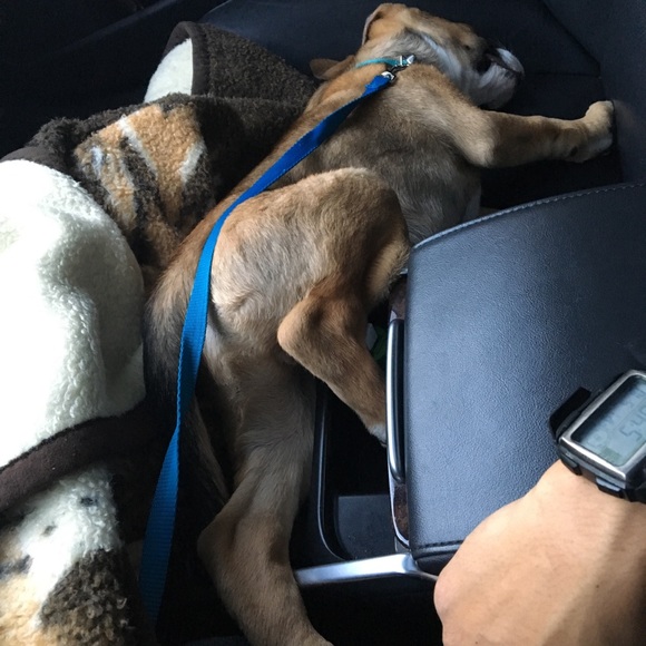 Meet your Posher - Picture 1 of 5